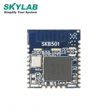 SKYLAB Long Range 500m Nordic nRF52840 BT Bluetooth BLE Low Energy 5.0 Module